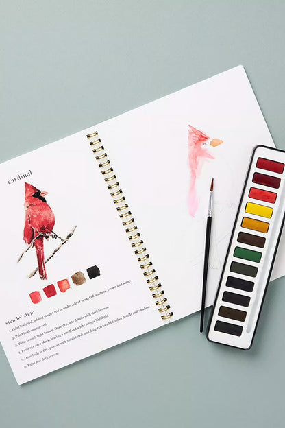 Aquarella™ | Wecken Sie Ihre Kreativität mit unserem lustigen Aquarell-Arbeitsheft!
