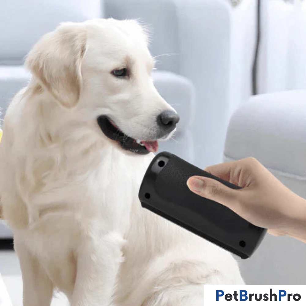 PetBrush™ Pro | Professionel Børste für Hunde & Katzen