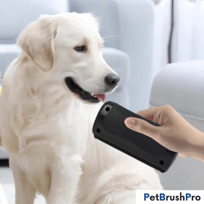 PetBrush™ Pro | Professionel Børste für Hunde & Katzen