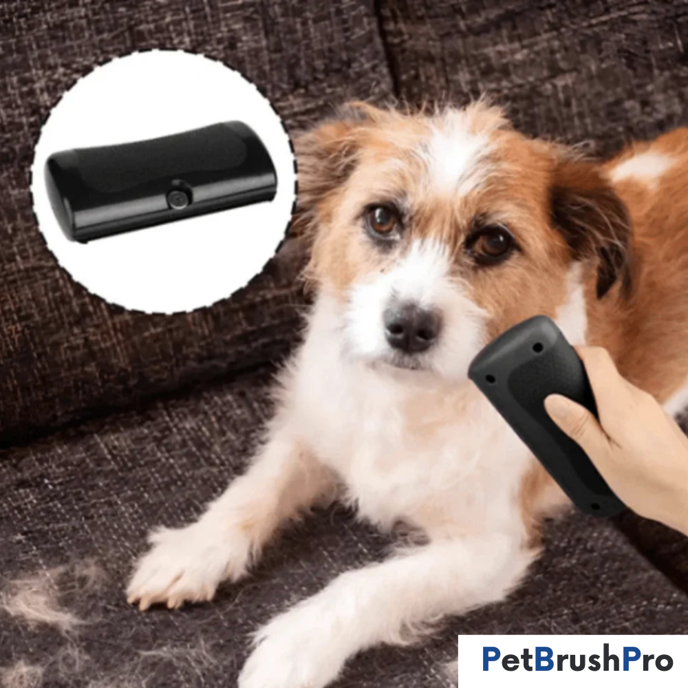 PetBrush™ Pro | Professionel Børste für Hunde & Katzen