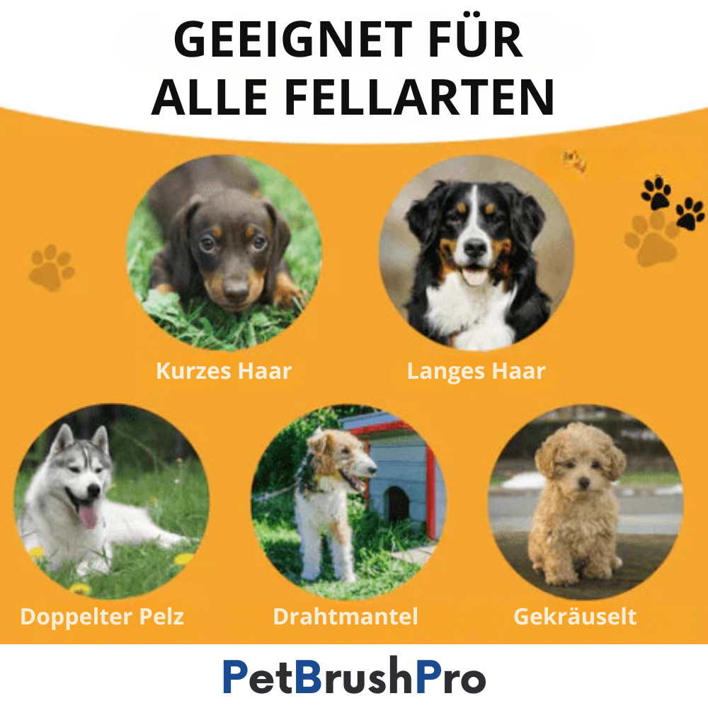 PetBrush™ Pro | Professionel Børste für Hunde & Katzen