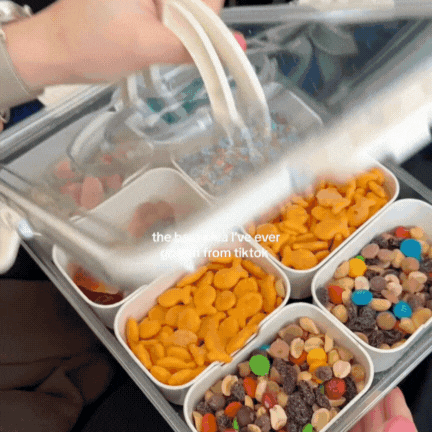 PicnicBox™ | Eleganter Snackbehälter für alle Gelegenheiten🧺✨